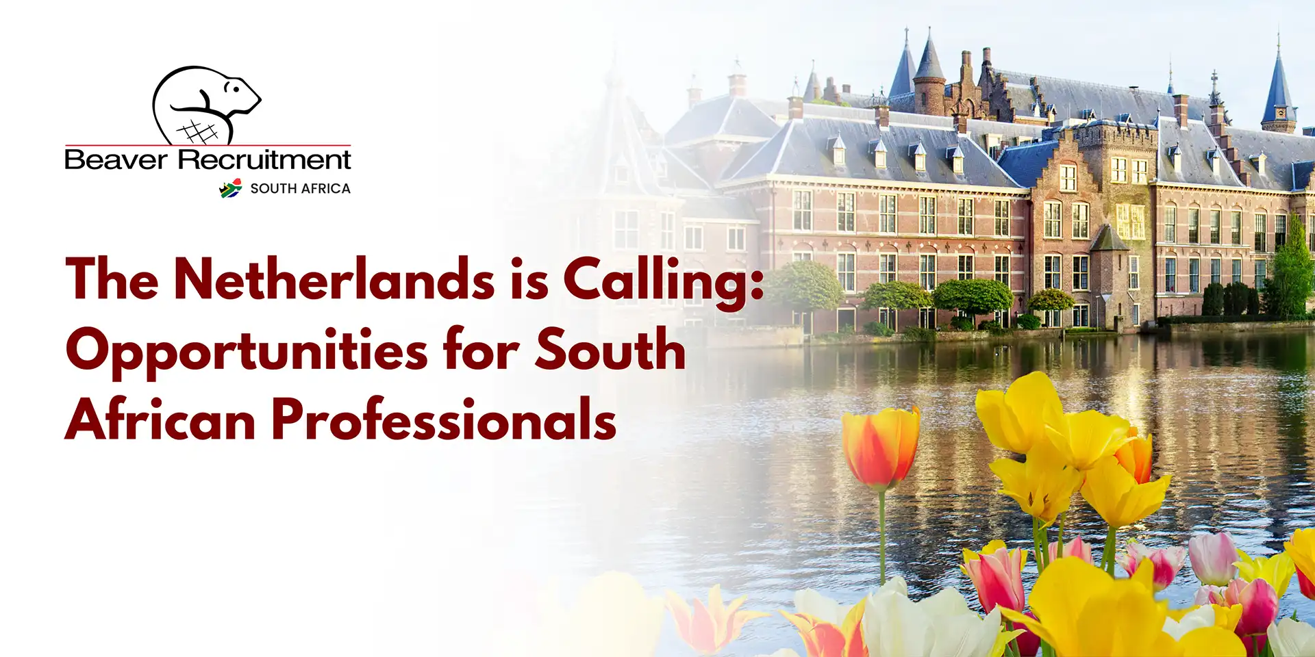 Job opportunities in the netherlands
